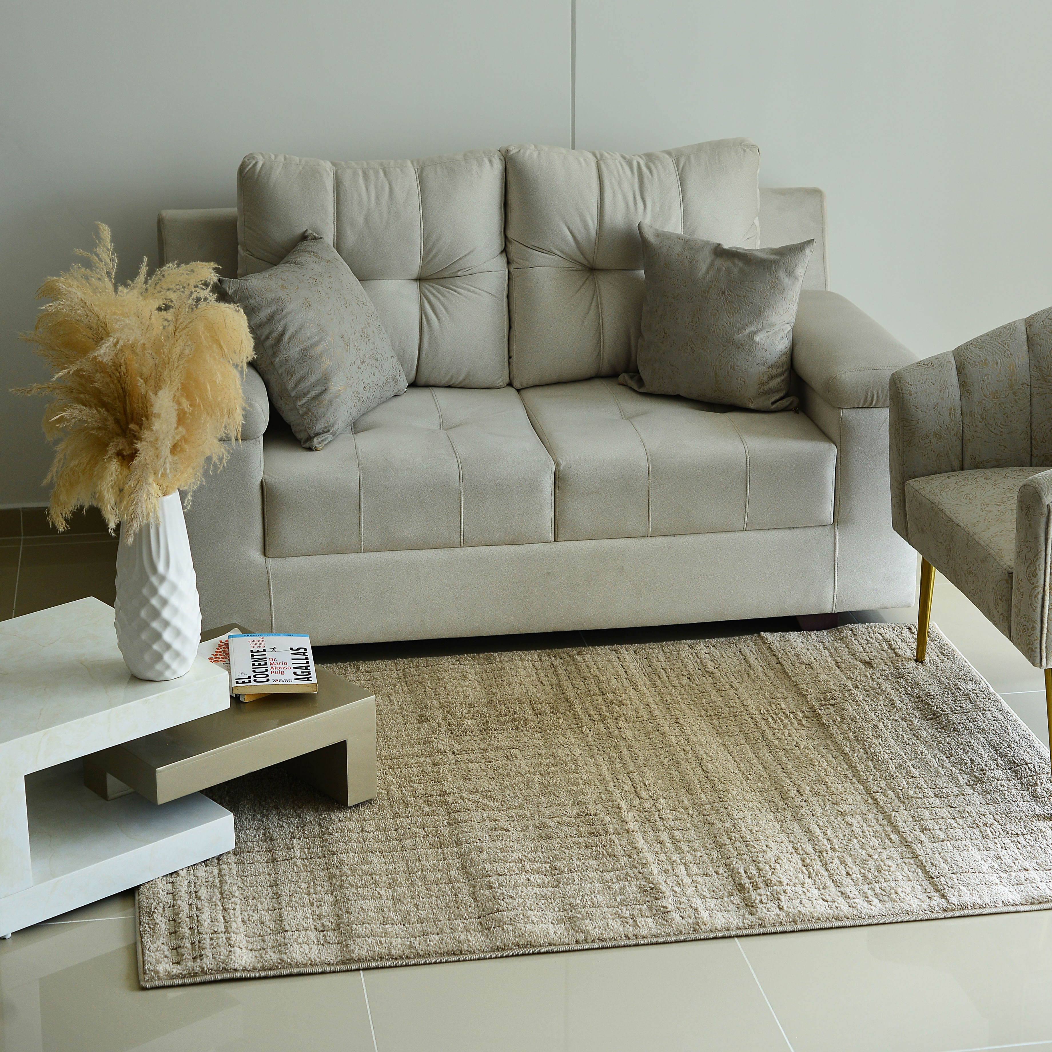 alfombra-paris-120x170-tipo-turca-beige-plana